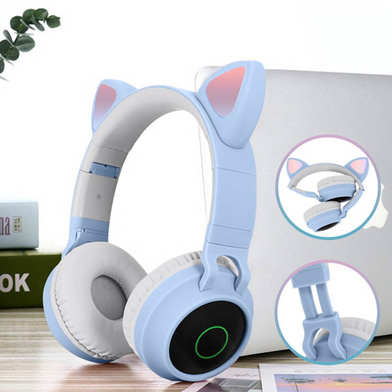 Il vous accompagne où vous voulez